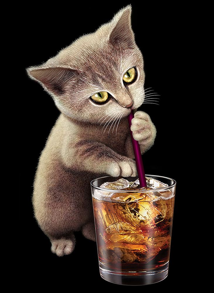 Cat and Soft Drink art print by Adam Lawless for $57.95 CAD