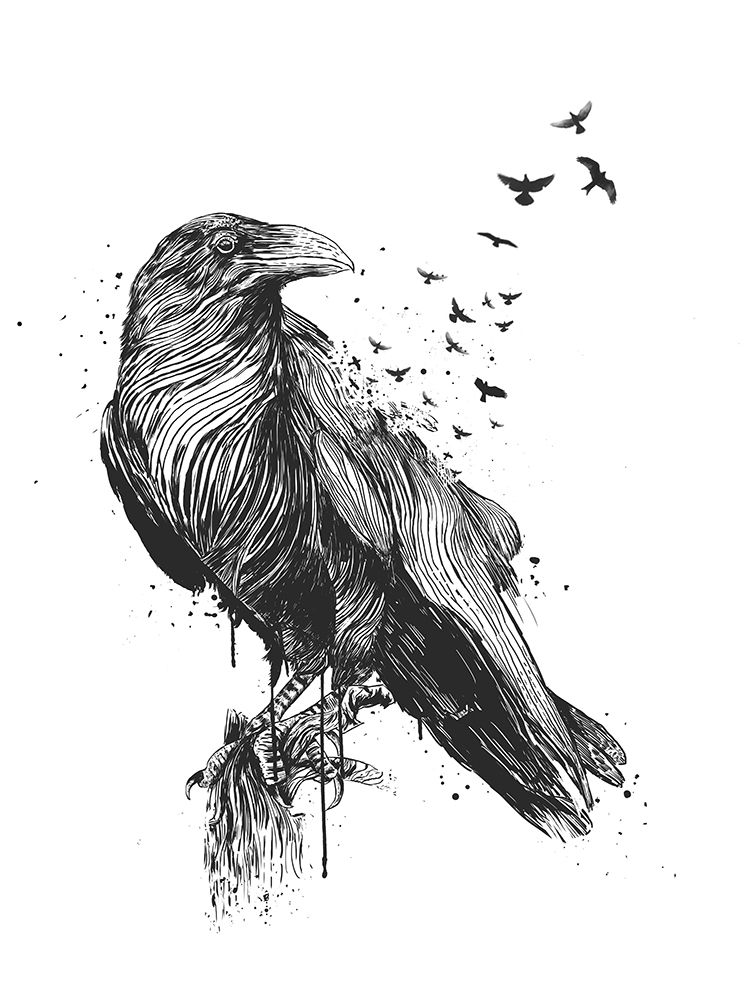 Born to be free art print by Balazs Solti for $57.95 CAD
