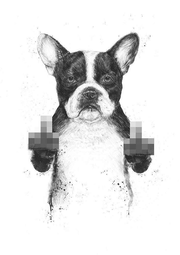 Censored dog art print by Balazs Solti for $57.95 CAD