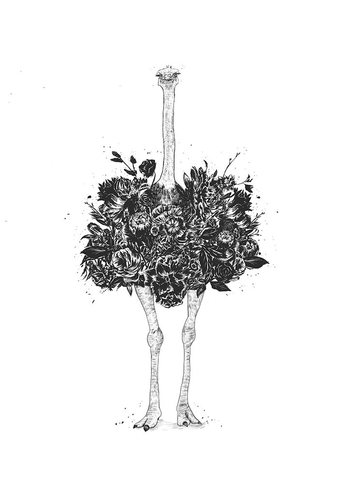 Floral ostrich art print by Balazs Solti for $57.95 CAD
