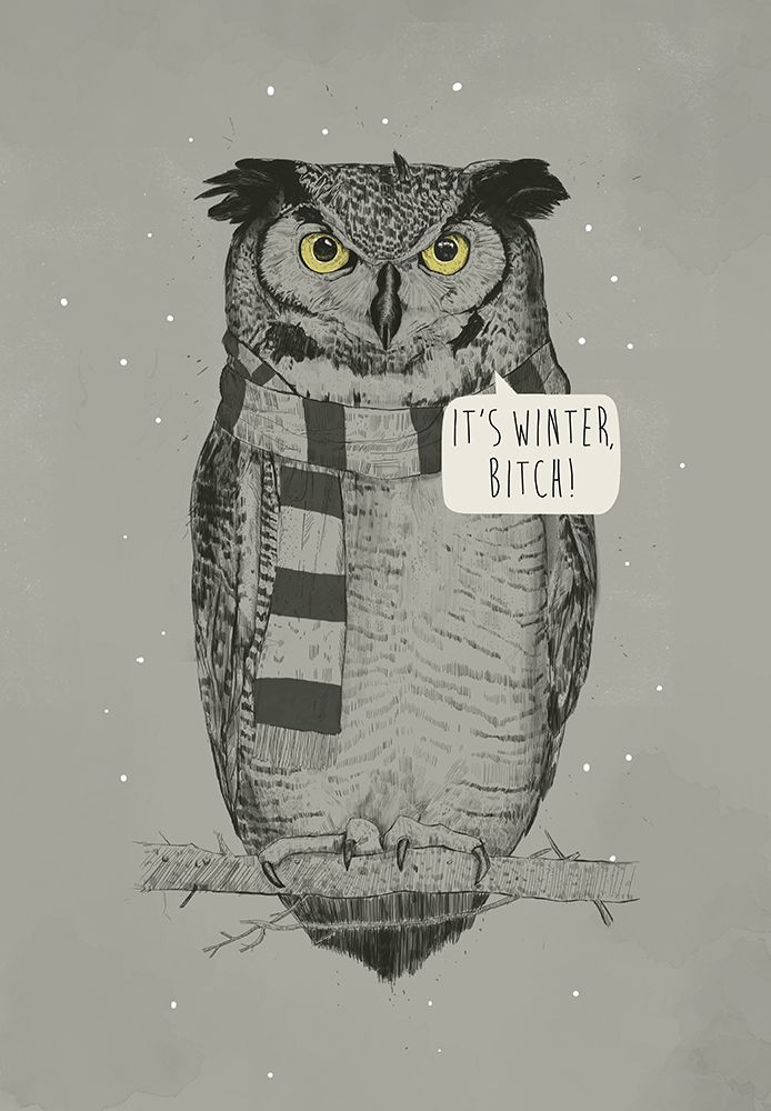 Its winter, bitch! art print by Balazs Solti for $57.95 CAD