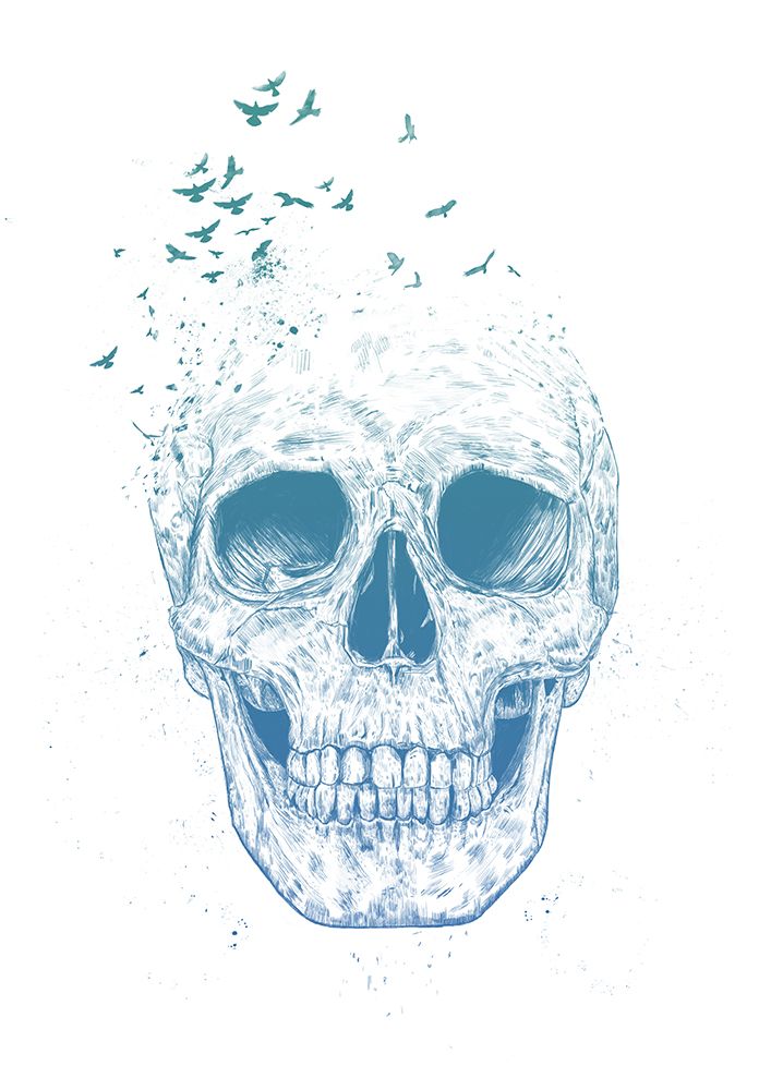 Let them fly art print by Balazs Solti for $57.95 CAD