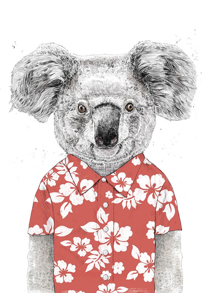 Summer koala (red) art print by Balazs Solti for $57.95 CAD
