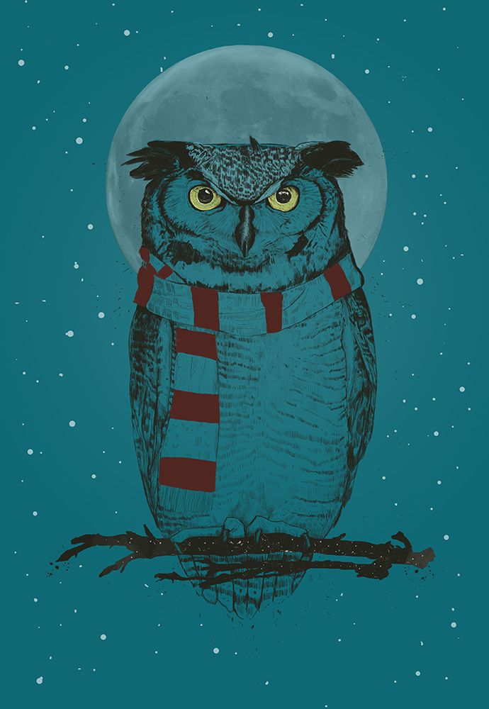 Winter owl art print by Balazs Solti for $57.95 CAD