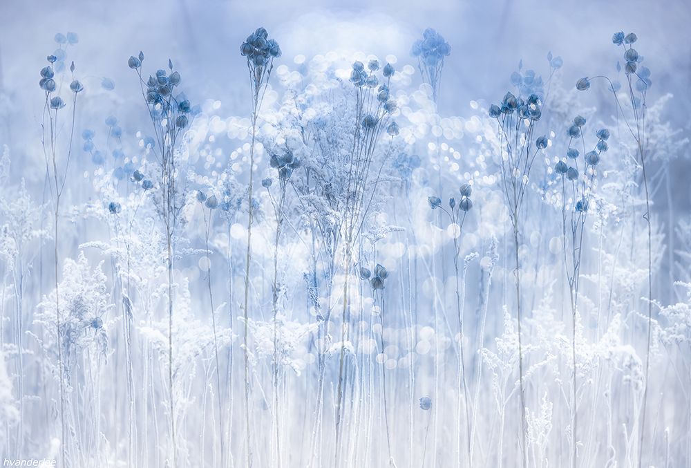 Icy Blue art print by van der Hilda for $57.95 CAD