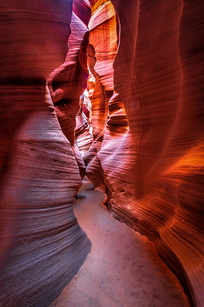 The Curves And Colors Of Nature art print by Jeffrey C. Sink for $57.95 CAD