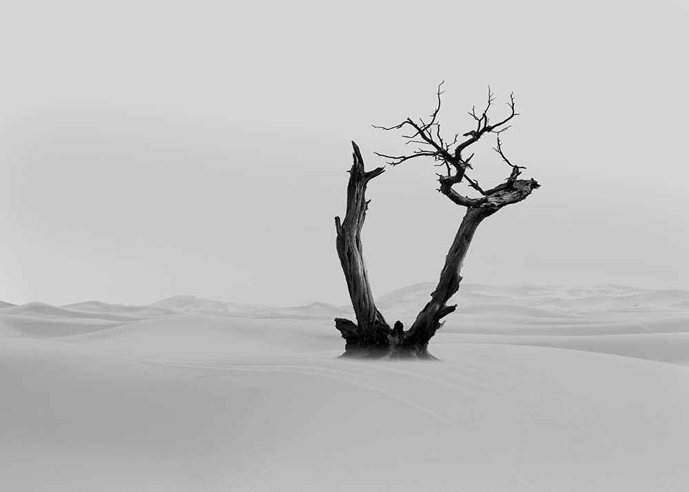 Single Tree art print by Salome Zhividze for $57.95 CAD