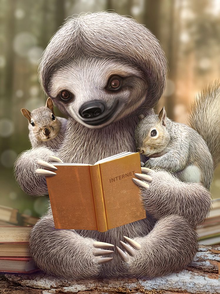 SLOTH SHARING KNOWLEDGE art print by Adam Lawless for $57.95 CAD