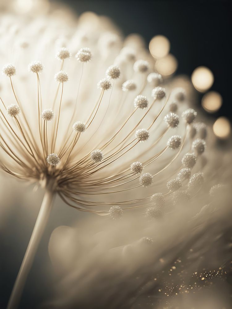 Little Pompoms art print by Treechild for $57.95 CAD