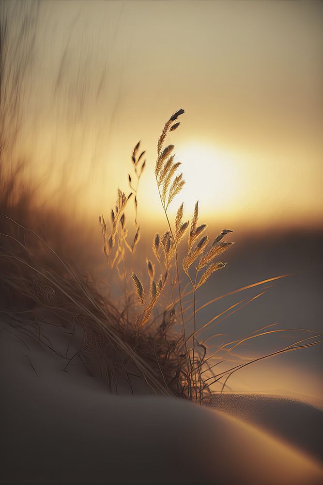 Evening Sun At The Beach art print by Treechild for $57.95 CAD