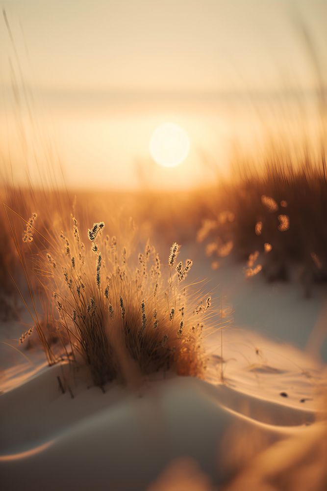 Sunset At The Beach art print by Treechild for $57.95 CAD