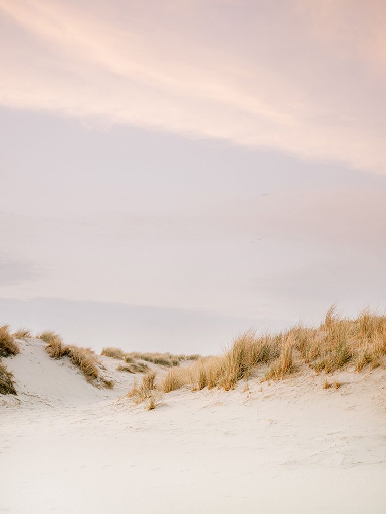 Ameland Dunes 3 art print by Raisa Zwart for $57.95 CAD