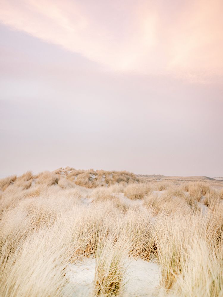 Ameland Dunes 2 art print by Raisa Zwart for $57.95 CAD