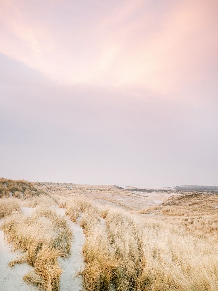 Ameland Dunes 1 art print by Raisa Zwart for $57.95 CAD