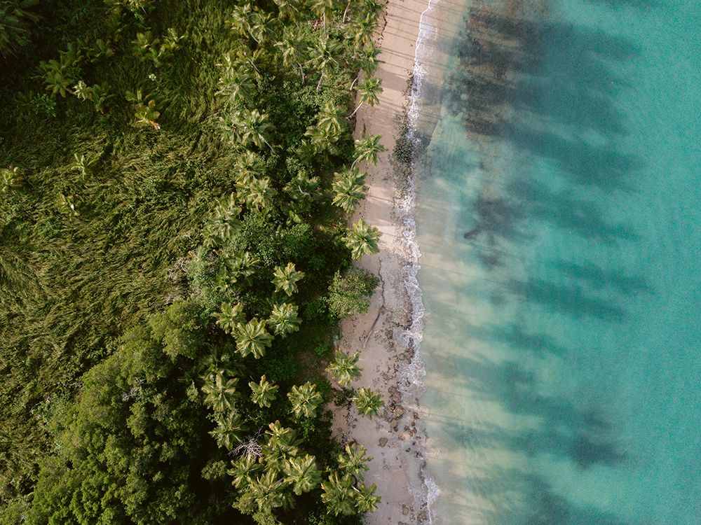 Green Beach From Above 2 art print by Raisa Zwart for $57.95 CAD