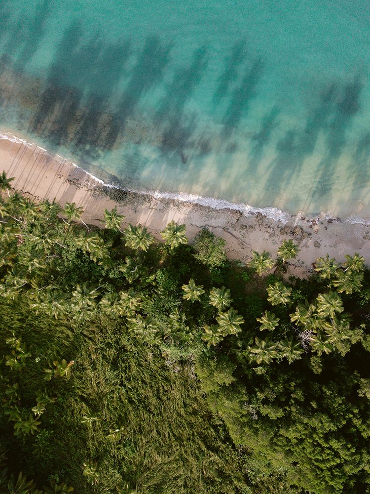Palm Beach from Above art print by Raisa Zwart for $57.95 CAD