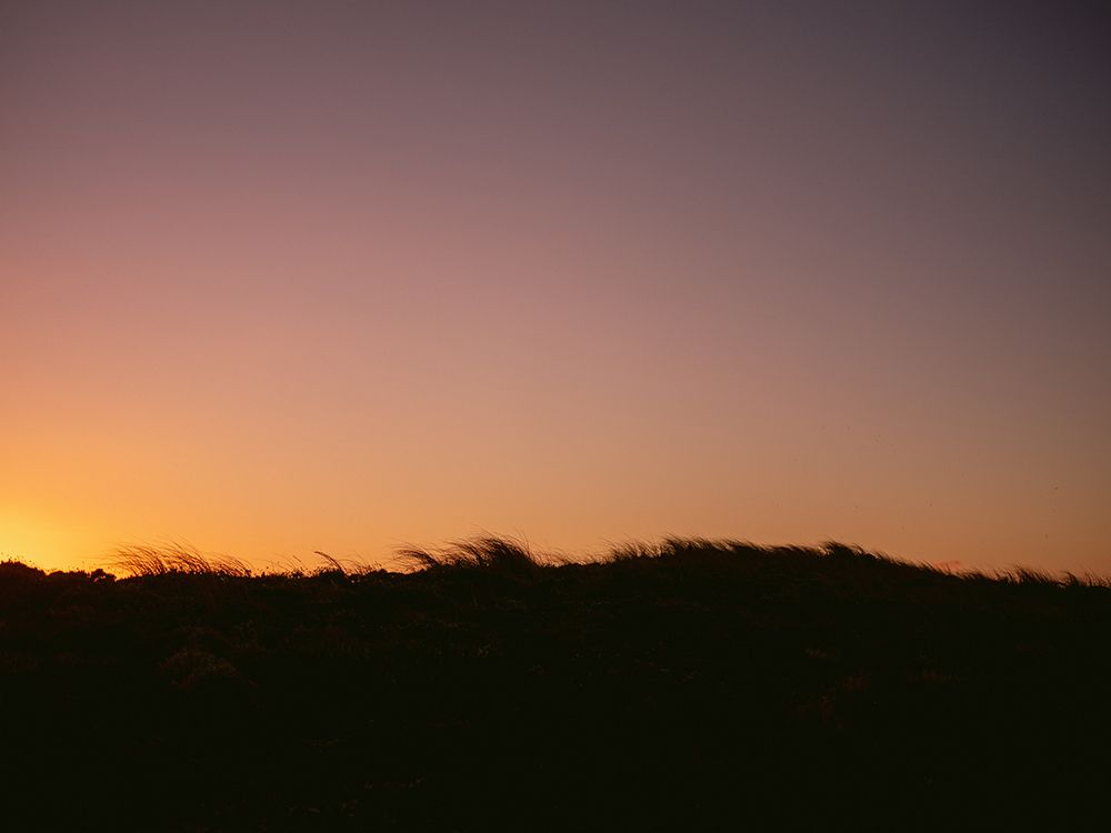 Dune Grass Sunset Horizontal art print by Raisa Zwart for $57.95 CAD