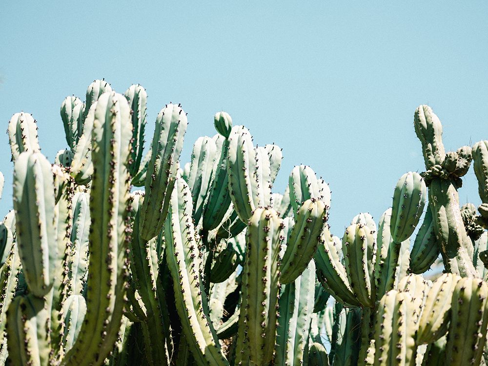 South of Spain art print by Raisa Zwart for $57.95 CAD