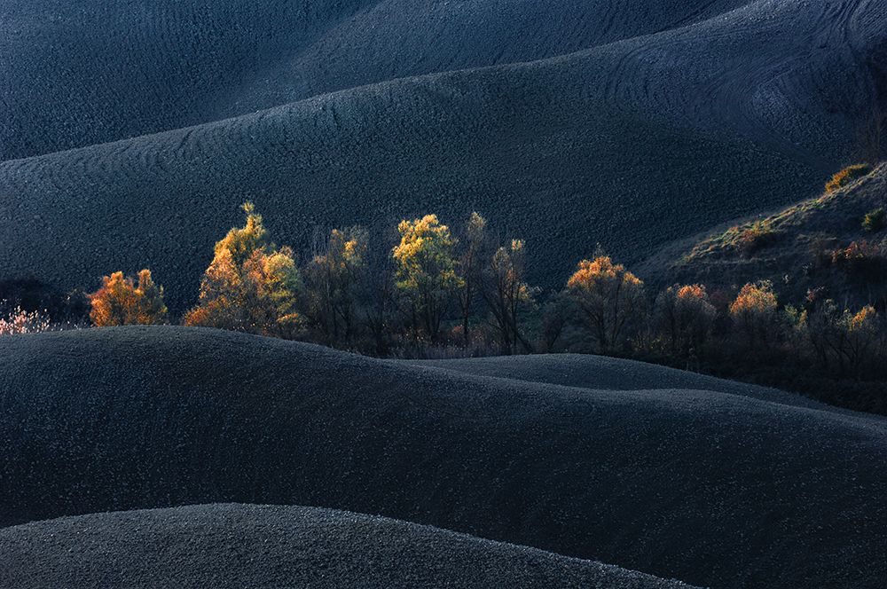 Tuscany art print by Jure Kravanja for $57.95 CAD