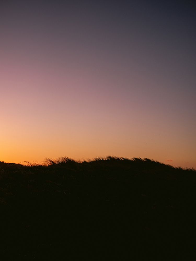 Dune Grass Sunset art print by Raisa Zwart for $57.95 CAD