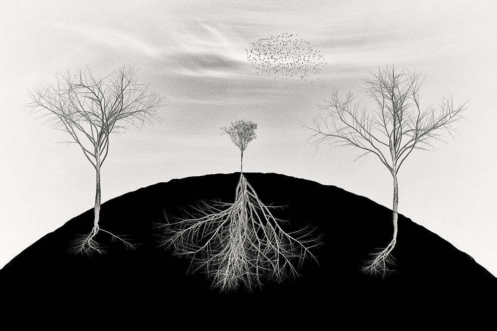 Weakness Is Not Your Weakness art print by Marchevca Bogdan for $57.95 CAD