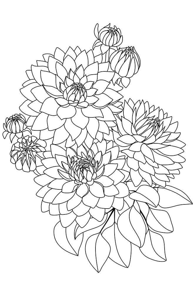 Pacey bouquet in black and white art print by Rosana Laiz Blursbyai for $57.95 CAD