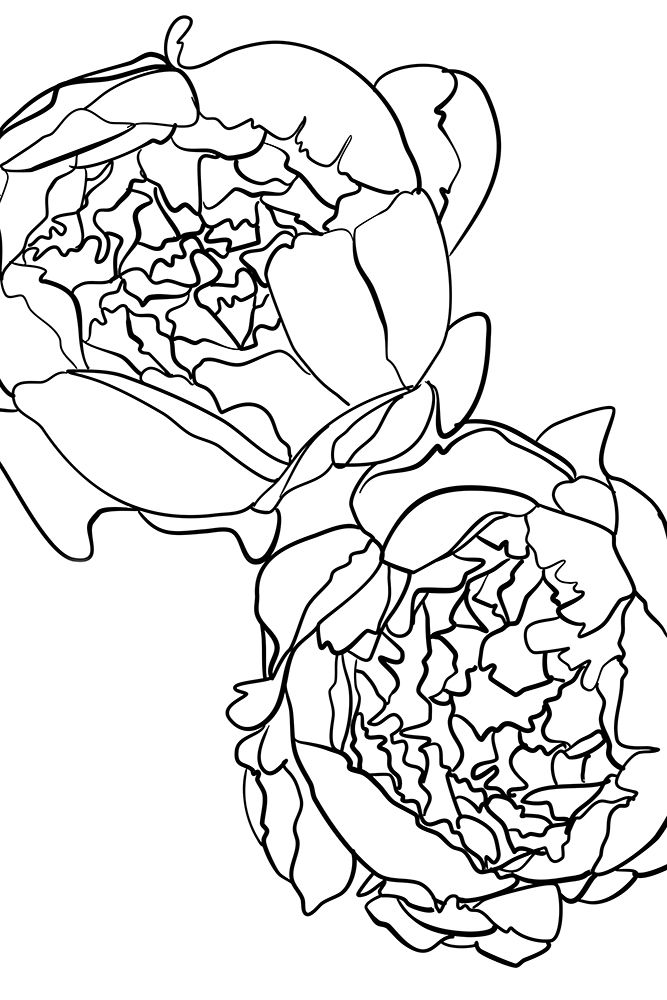 Sallys peonies in black and white art print by Rosana Laiz Blursbyai for $57.95 CAD