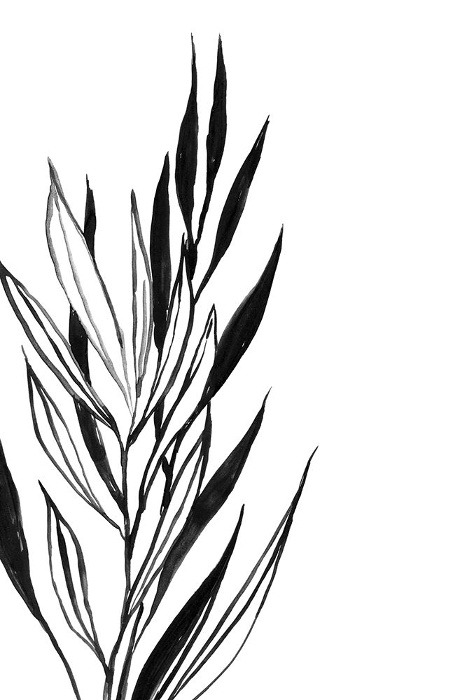 Anchali leaves line art art print by Rosana Laiz Blursbyai for $57.95 CAD