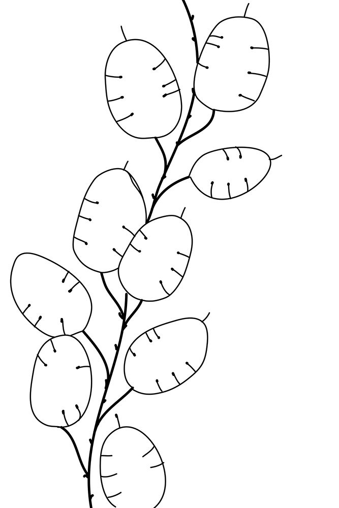 Lunaria art print by Rosana Laiz Blursbyai for $57.95 CAD