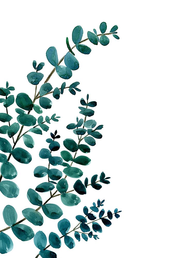 Teal watercolor eucalyptus II art print by Rosana Laiz Blursbyai for $57.95 CAD