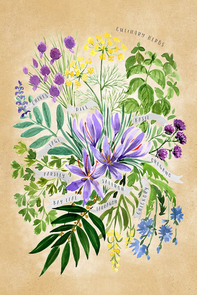 Culinary herbs in vintage sepia art print by Rosana Laiz Blursbyai for $57.95 CAD