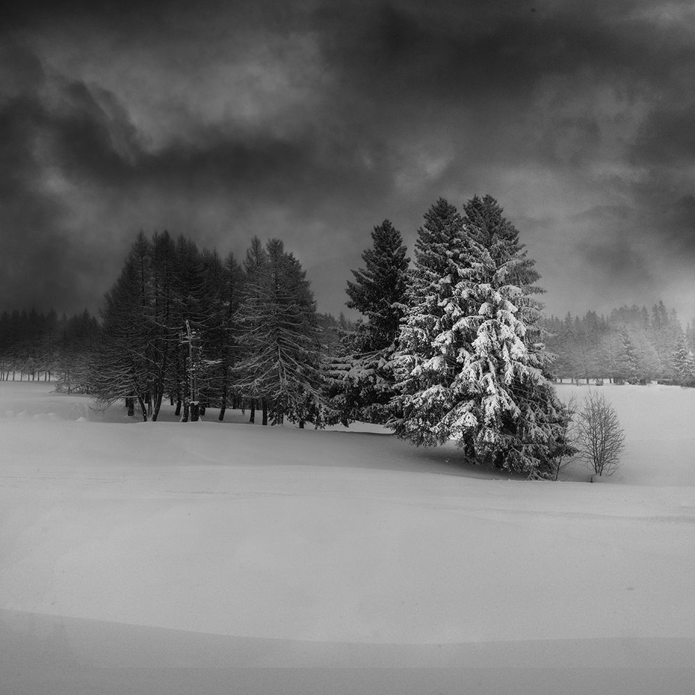 Just After art print by VeroniqueS for $57.95 CAD