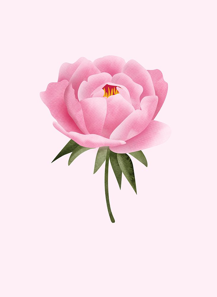 Peony statement art print by Rosana Laiz Blursbyai for $57.95 CAD
