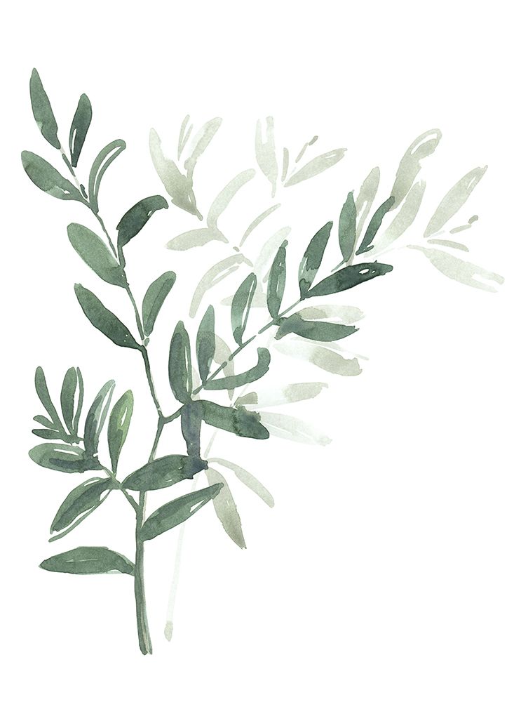 Watercolor laurel branch art print by Rosana Laiz Blursbyai for $57.95 CAD