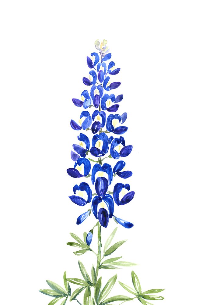 Watercolor Texas bluebonnet art print by Rosana Laiz Blursbyai for $57.95 CAD
