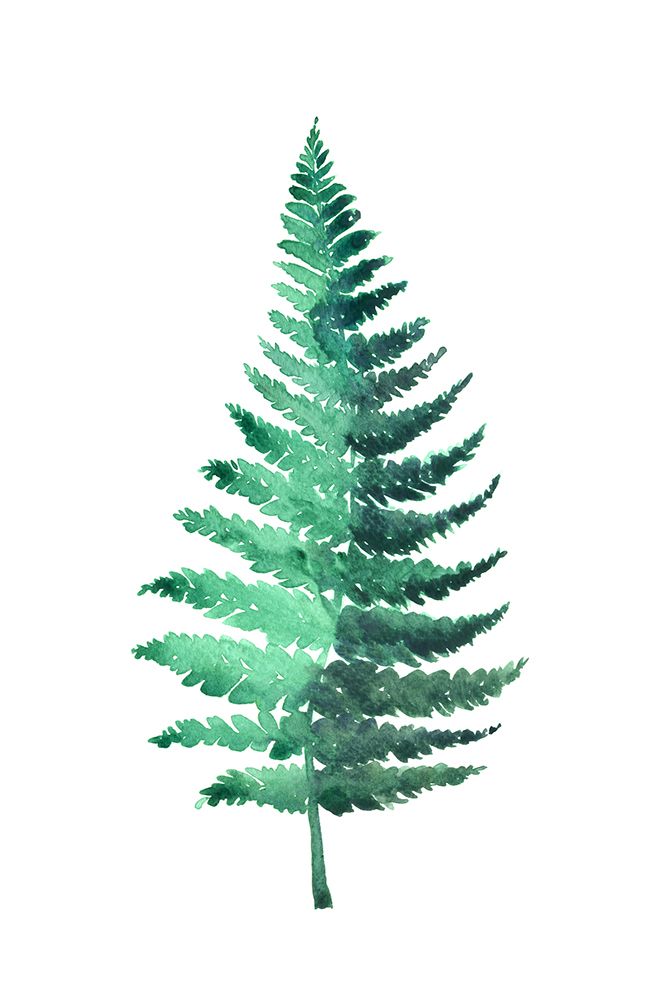 Watercolor fern art print by Rosana Laiz Blursbyai for $57.95 CAD