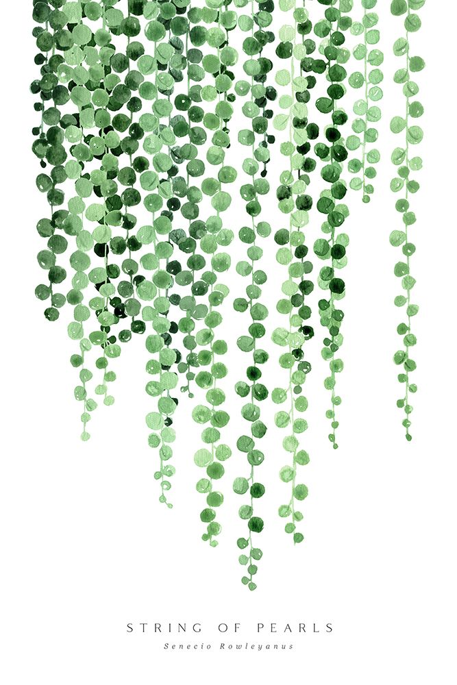 Watercolor string of pearls art print by Rosana Laiz Blursbyai for $57.95 CAD