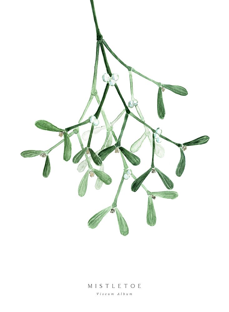 Watercolor mistletoe art print by Rosana Laiz Blursbyai for $57.95 CAD