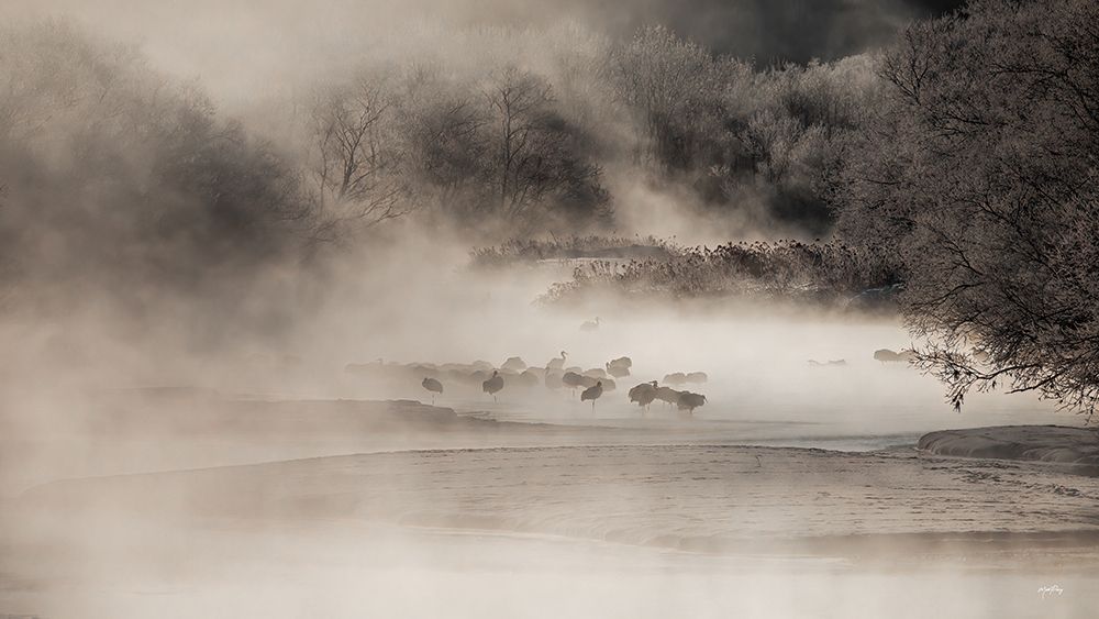 Misty Winter Cranes art print by Max Pang for $57.95 CAD