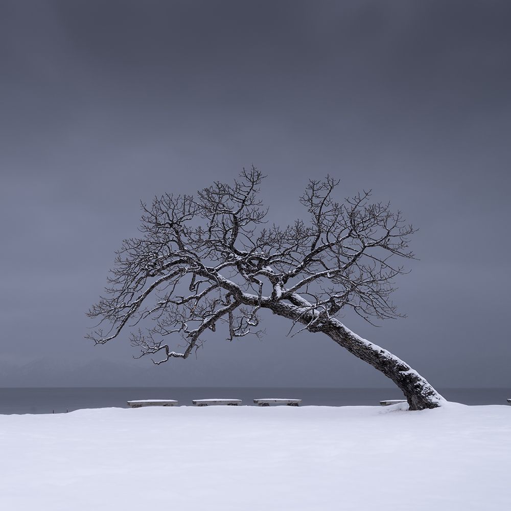 Leaning In art print by Robert Bolton for $57.95 CAD