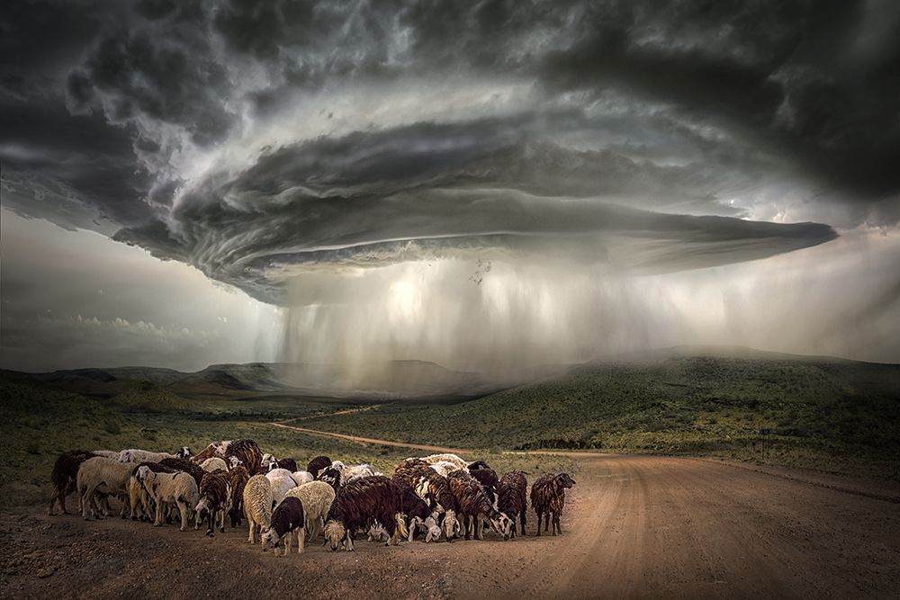 Namibiarain art print by Marcel Egger for $57.95 CAD
