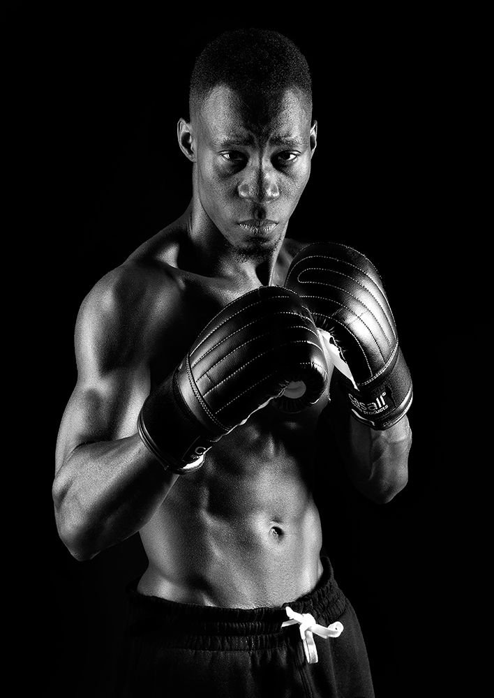 Boxer art print by Jorgen Wicklow for $57.95 CAD