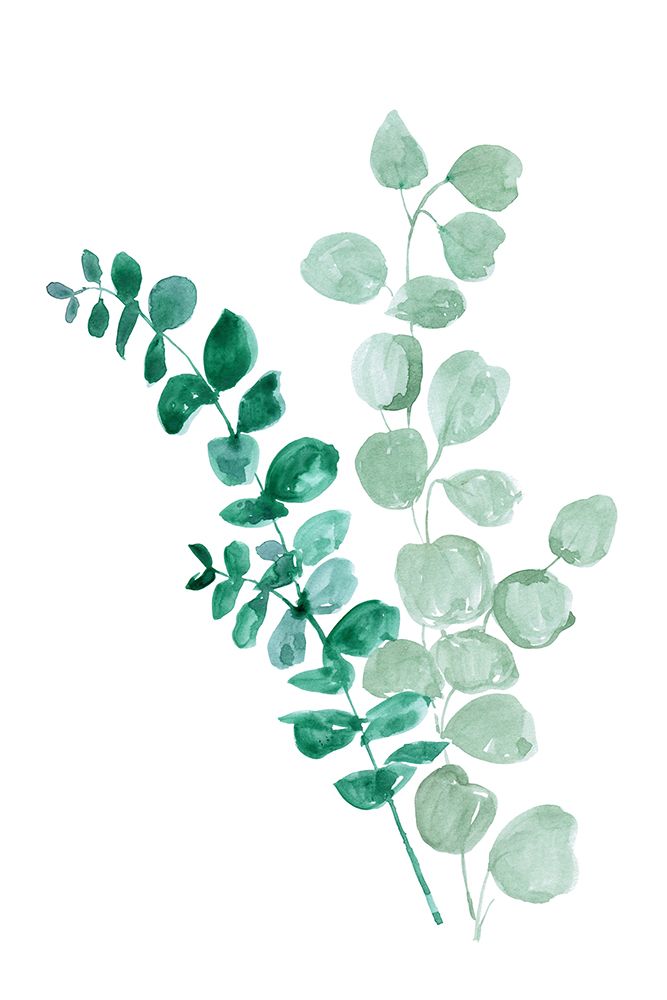 Two eucalyptus branches art print by Rosana Laiz Blursbyai for $57.95 CAD