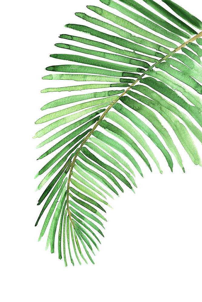 Palm leaf in loose watercolor art print by Rosana Laiz Blursbyai for $57.95 CAD
