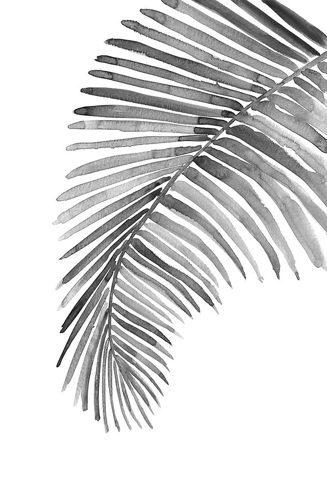 Palm leaf in loose watercolor bw art print by Rosana Laiz Blursbyai for $57.95 CAD