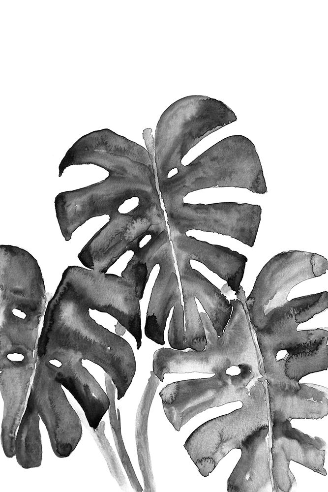 Monstera leaves in loose watercolor bw art print by Rosana Laiz Blursbyai for $57.95 CAD