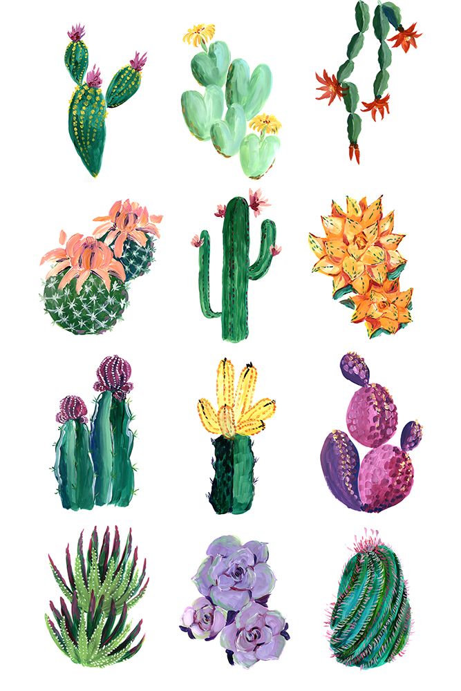 Collection of cacti art print by Rosana Laiz Blursbyai for $57.95 CAD