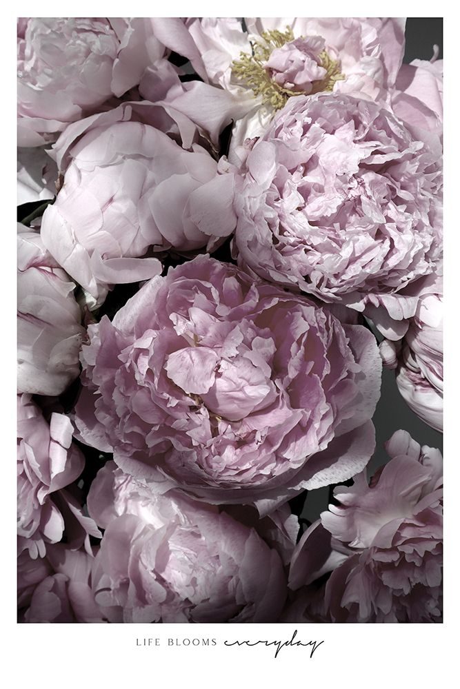 Life Blooms Everyday Peonies art print by Rosana Laiz Blursbyai for $57.95 CAD