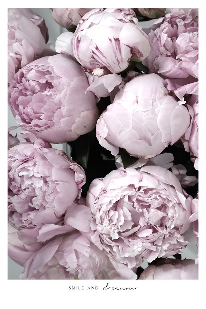 Smile And Dream Peonies art print by Rosana Laiz Blursbyai for $57.95 CAD