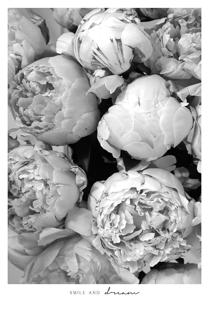 Smile And Dream Peonies Bw art print by Rosana Laiz Blursbyai for $57.95 CAD